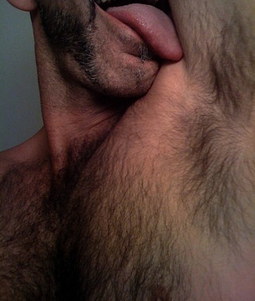 tumblr lfhhkz2l2i1qf9dxio1 500