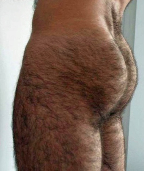 tumblr mwgr69cj231s6grovo1 500