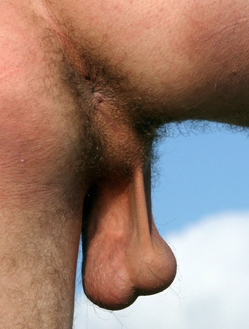 tumblr lqzgeuiWHM1qmytyyo1 500