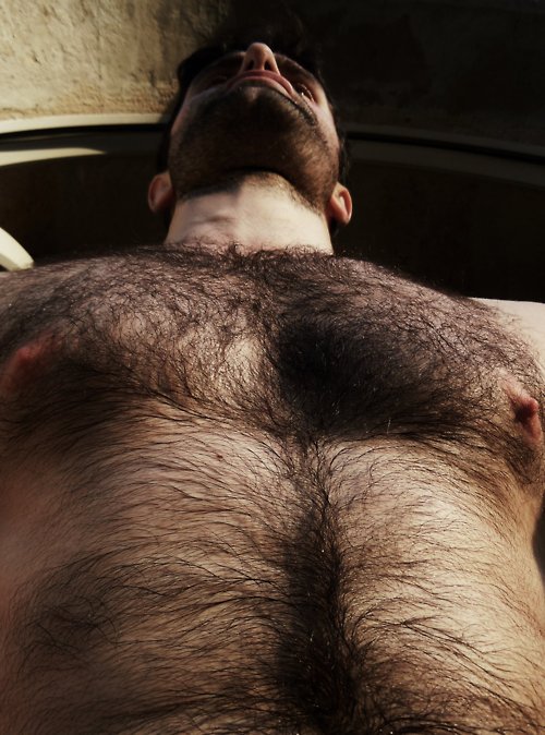 tumblr lozr7v9e0M1qhwm3wo1 500