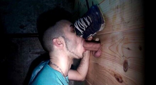1--1--copie-6.jpg