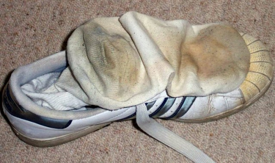 1--1--copie-14.jpg