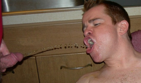 1--1--copie-23.jpg