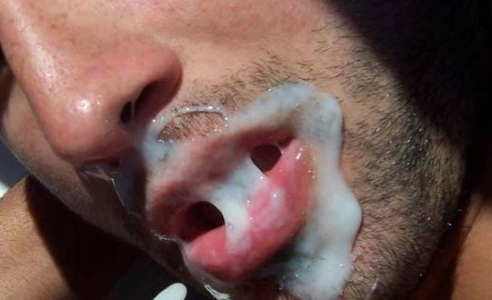1--2--copie-8.jpg