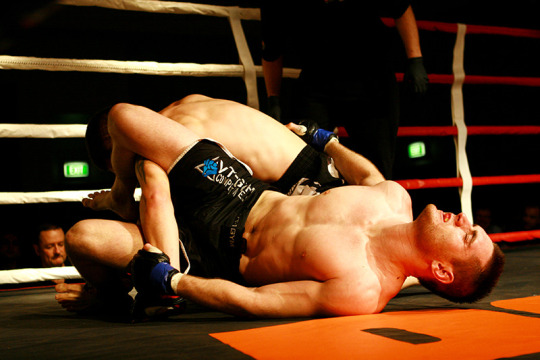 1--3--copie-11.jpg