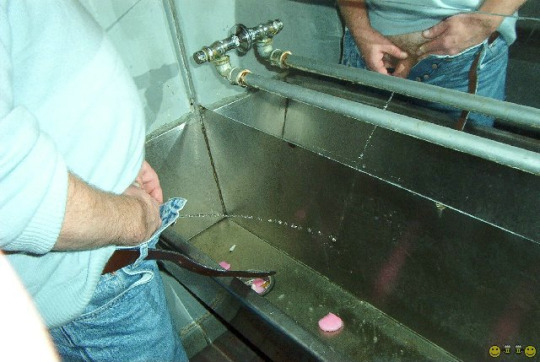 1--1--copie-15.jpg