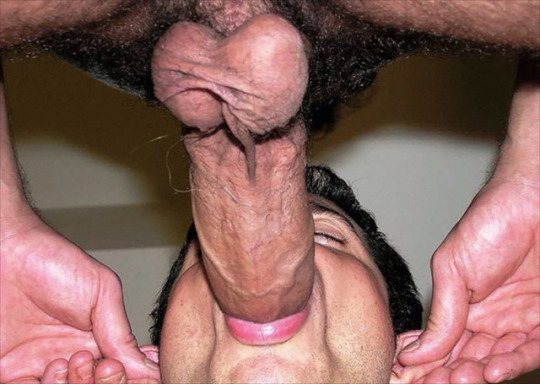 1--4--copie-13.jpg