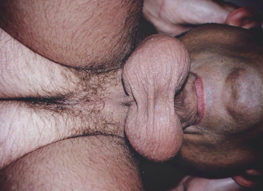 1--2--copie-34.jpg