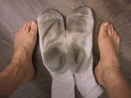 1--4--copie-5.jpg
