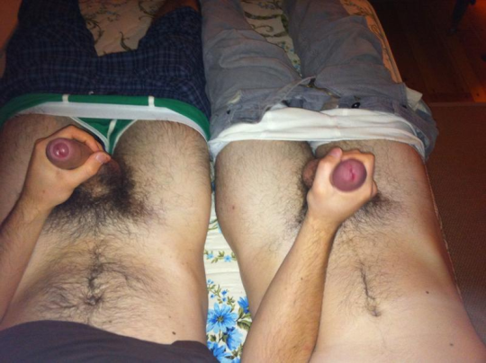 1--1--copie-1.jpg