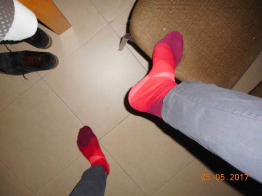 1--3--copie-7.jpg