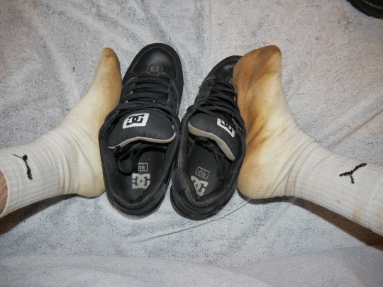 1-copie-1.jpg