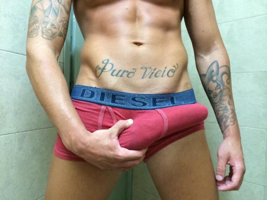tumblr_od1n4pAr3c1vf6o6lo1_540.jpg