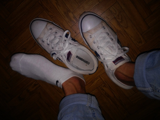 1--4--copie-7.jpg