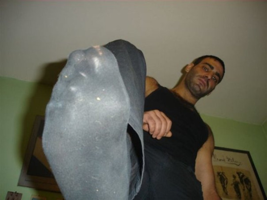 1--1--copie-11.jpg