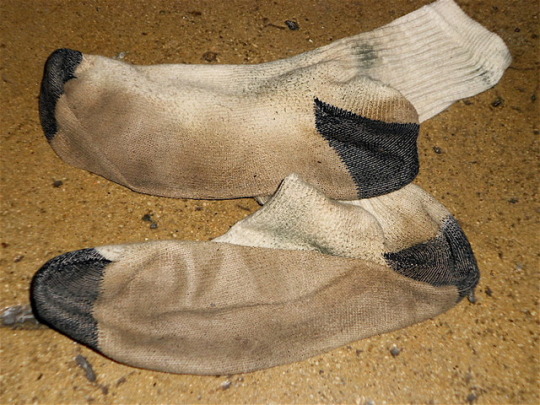 1c-copie-1.jpg