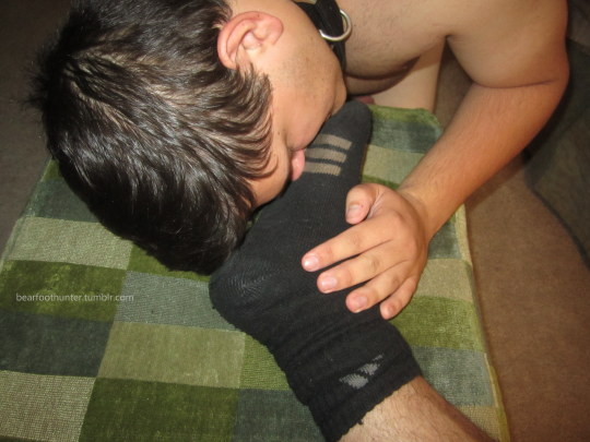 1--1--copie-9.jpg