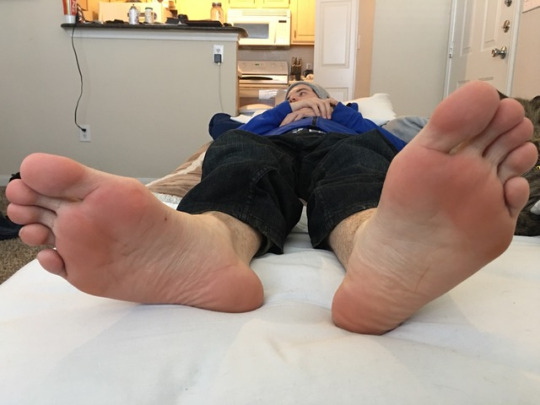 1--5--copie-3.jpg