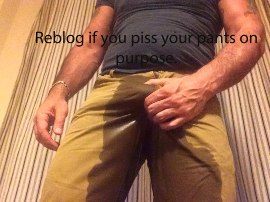 1--3--copie-3.jpg