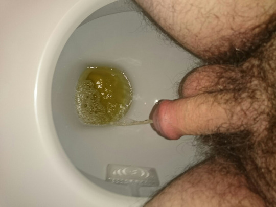 1-copie-1.jpg