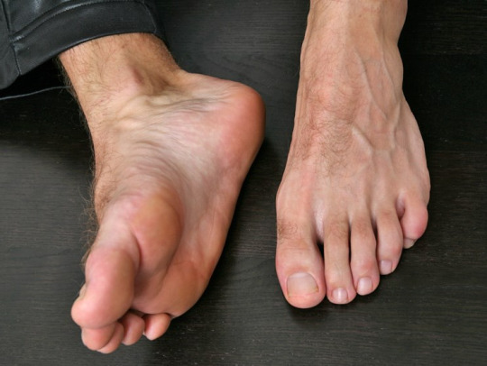 1--6--copie-2.jpg