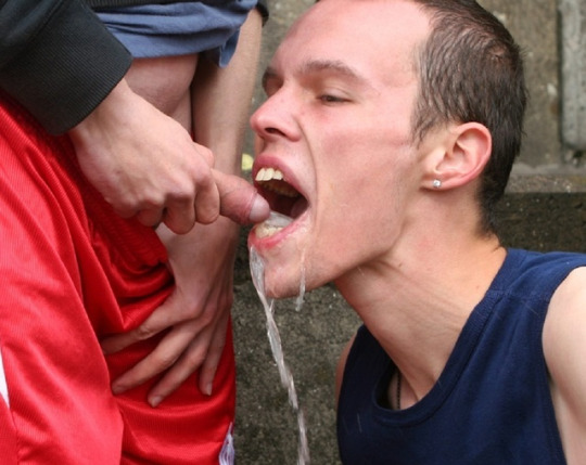 1--1--copie-12.jpg