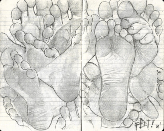 1--3--copie-2.jpg