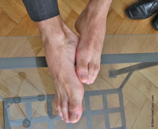 1--1--copie-6.jpg