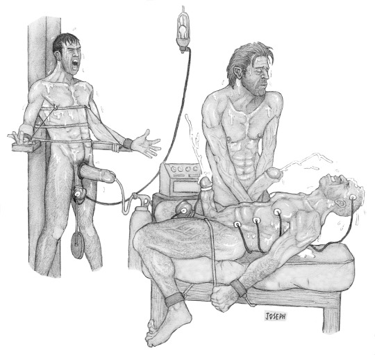 1--3--copie-5.jpg