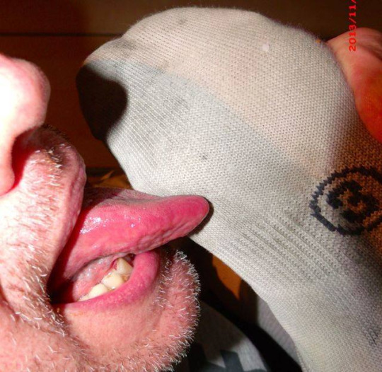 1--4--copie-6.jpg