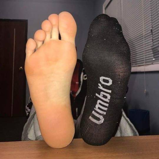 1-copie-11.jpg