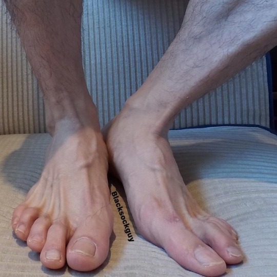 1--9-.jpg