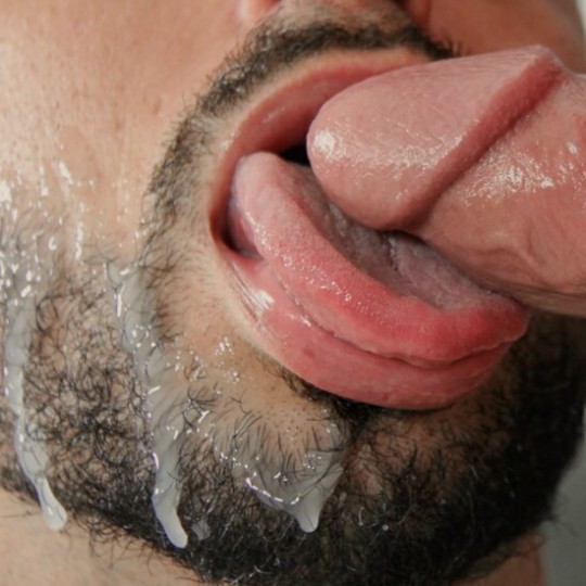 1--3--copie-15.jpg