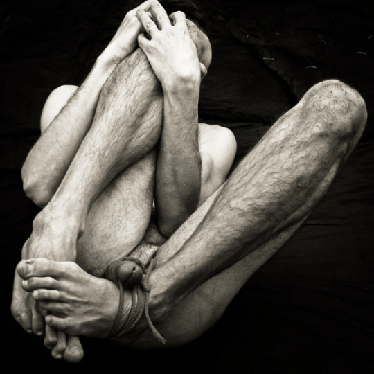 1--1--copie-2.jpg