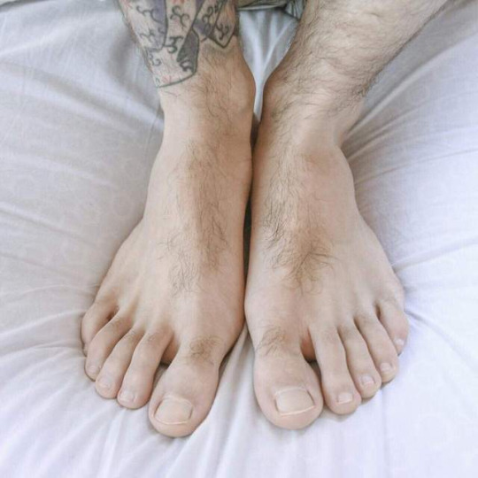 1--5--copie-5.jpg