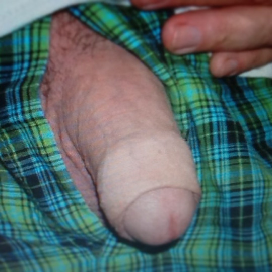 1--3--copie-14.jpg