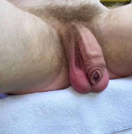 1--2--copie-5.jpg
