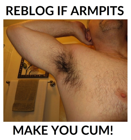 1--2--copie-3.jpg
