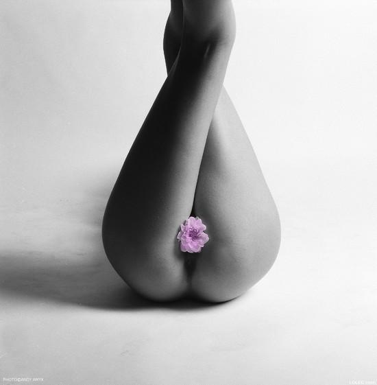 fleur-entre-jambe.jpg