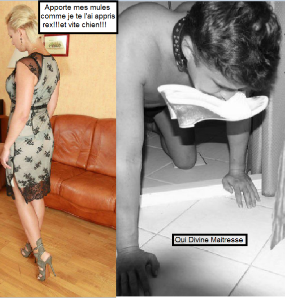 9porte-mule-a-mes-pieds-vite.PNG