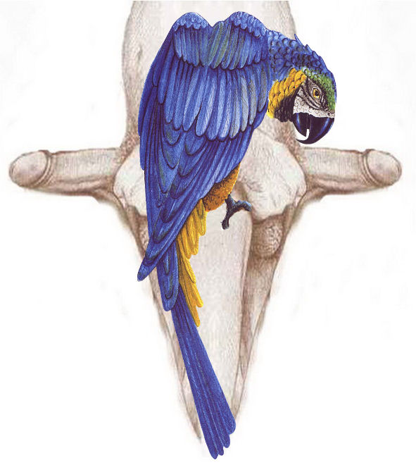 test016az.jpg