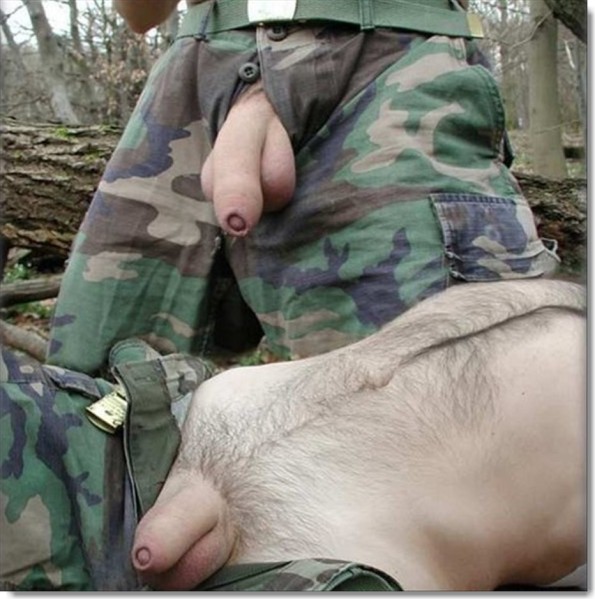 tumblr lnuxhoJf8z1qafazko1 1280