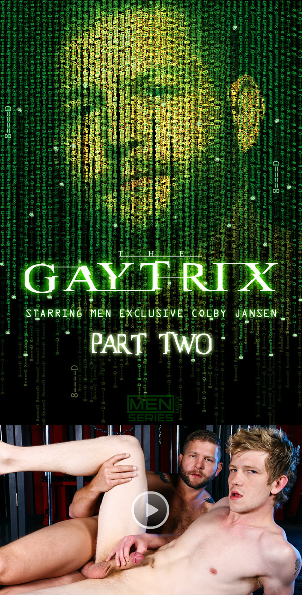 The-Gaytrix-Part-2-r.jpg
