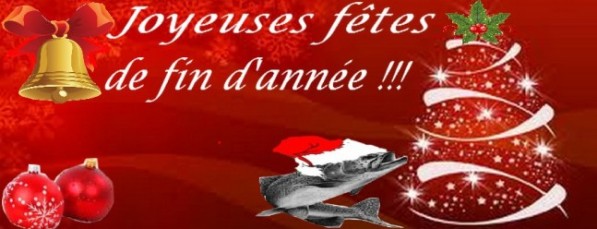 joyeuse-fetes-copie-1.jpg