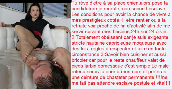 11-Tu-reve-de-d-etre-a-sa-place-chien-alors-pose-ta-candi.PNG