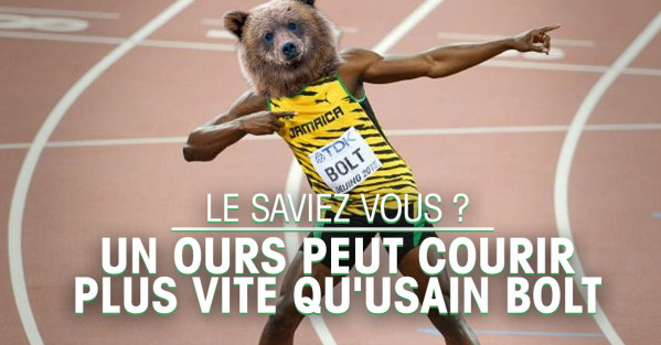 ours qui v bz 5