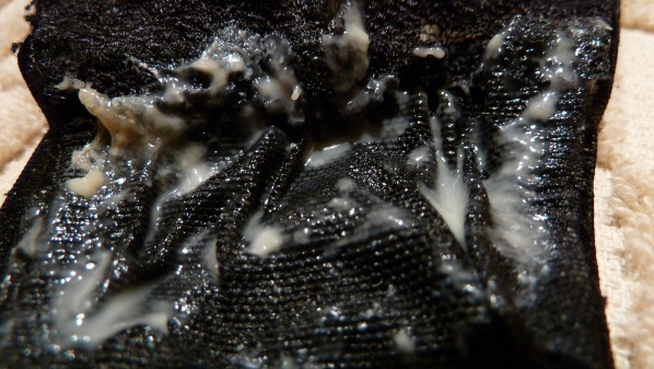 P1040314