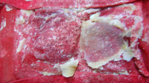 DSC01892.JPG