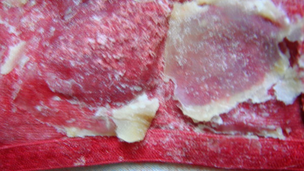 DSC01893.JPG