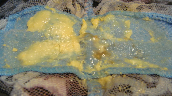 DSC01960.JPG
